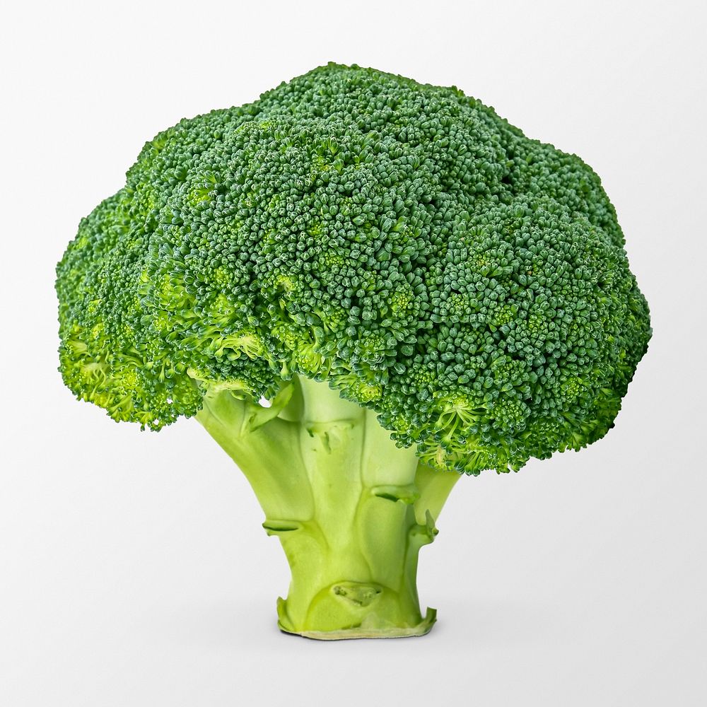 Broccoli clipart, organic vegetable, healthy diet