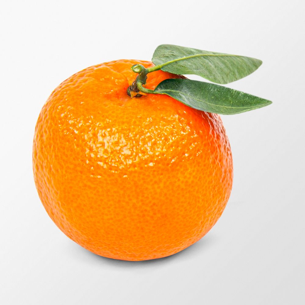 Organic orange clipart, citrus fruit on white background