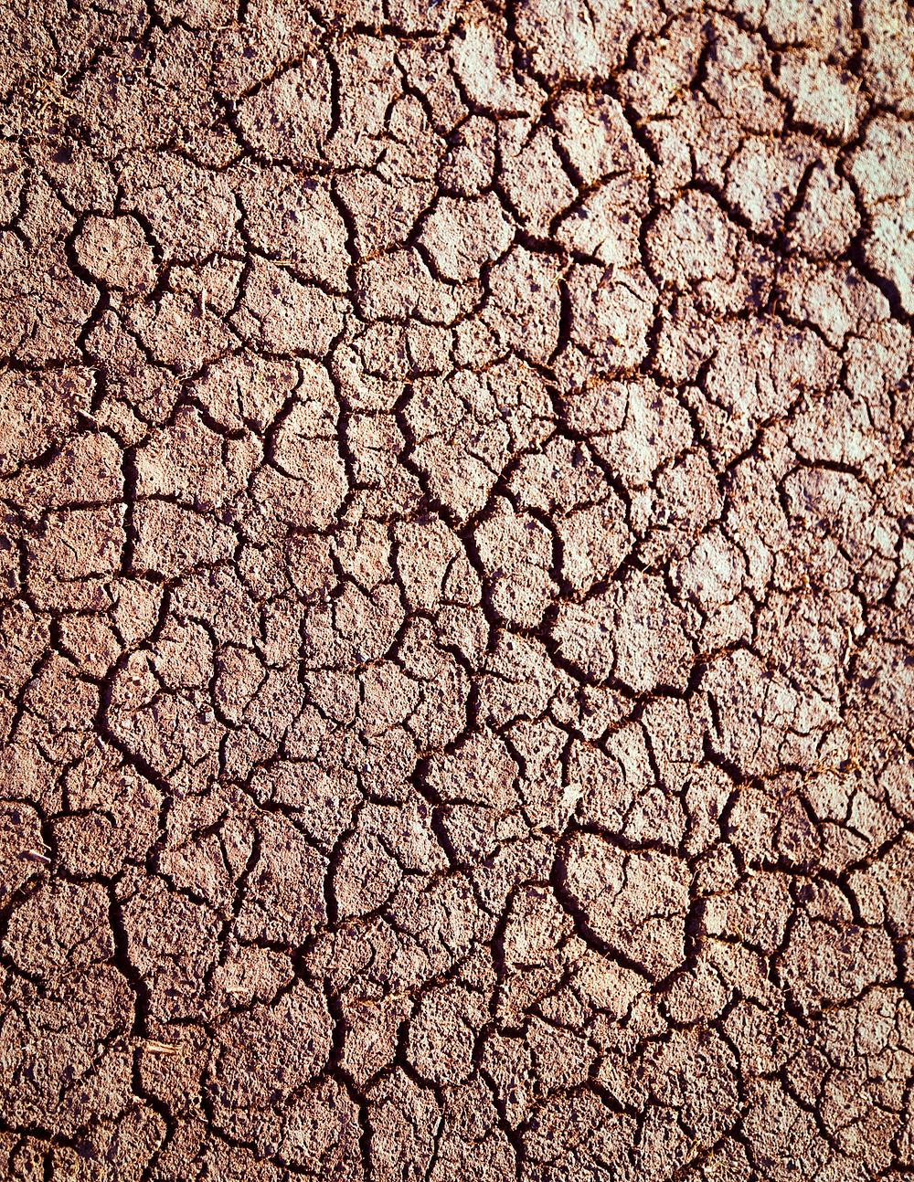 Drought texture background, cracked ground design