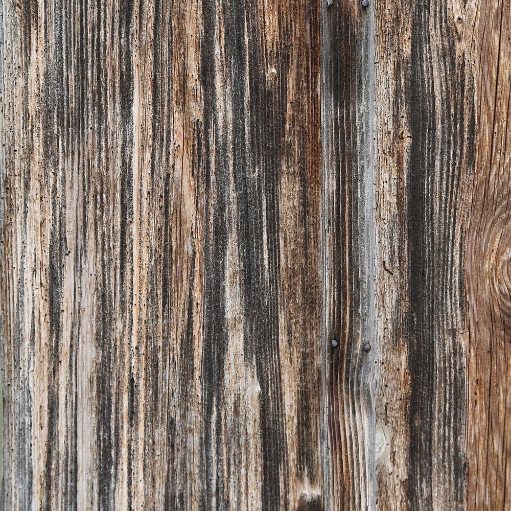 Weathered wood texture background, close up design