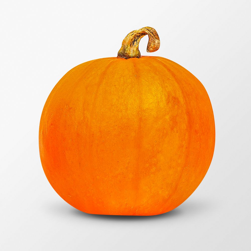 Halloween pumpkin clipart, organic vegetable psd