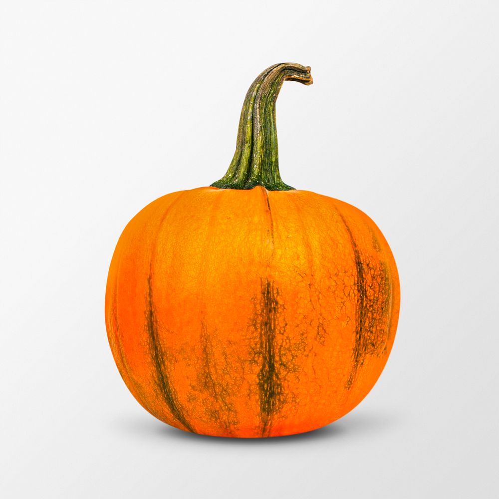 Halloween pumpkin clipart, organic vegetable psd