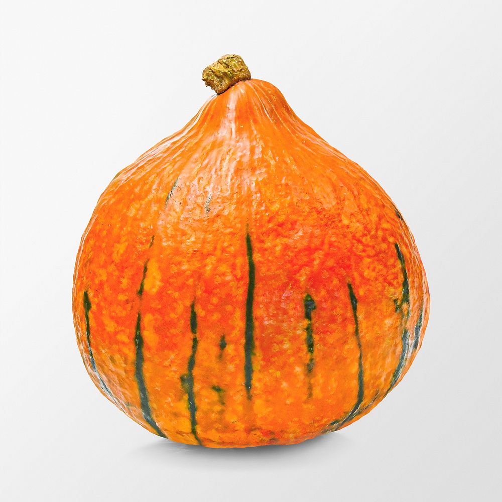 Cucurbita pumpkin clipart, orange vegetable psd