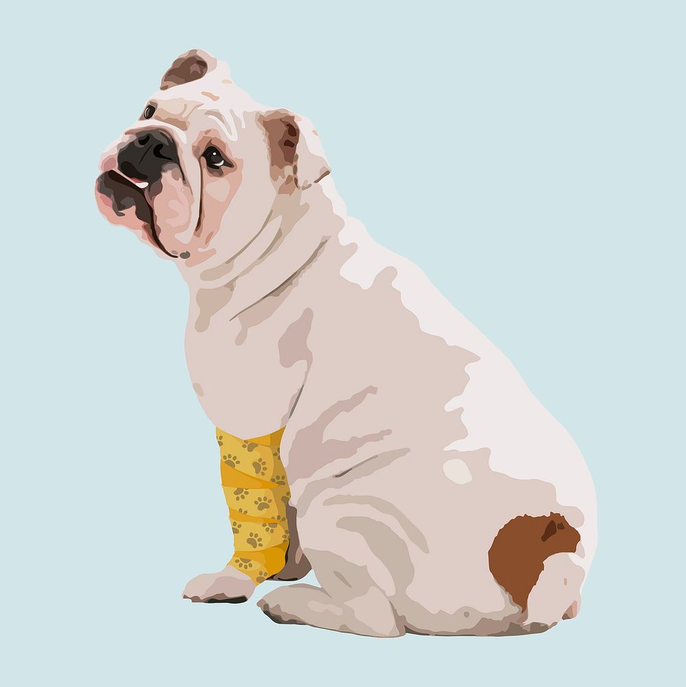Injured dog at vet clipart, aesthetic illustration