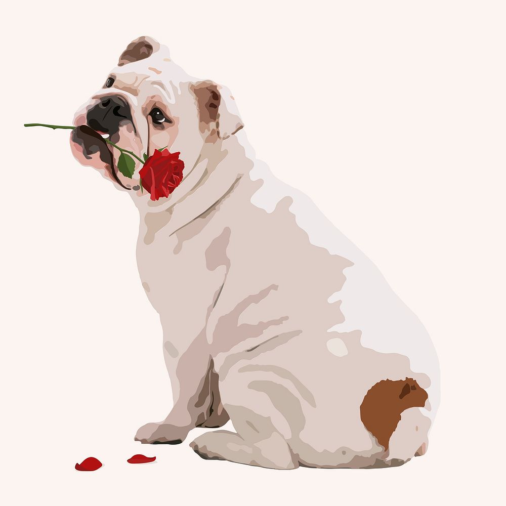 Valentine's dog, English Bulldog, aesthetic vector illustration