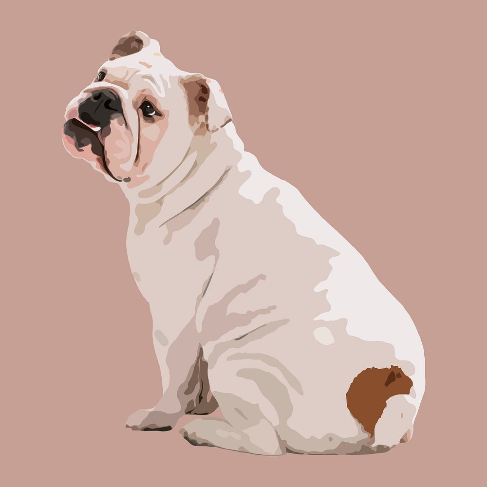 English Bulldog clipart, aesthetic illustration