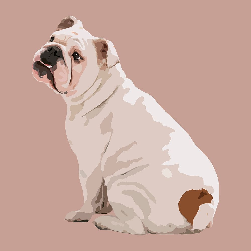 English Bulldog collage element, aesthetic illustration psd