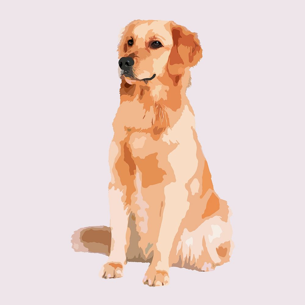 Golden Retriever dog, aesthetic vector illustration