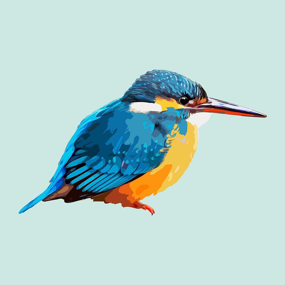 River Kingfisher bird clipart, aesthetic illustration