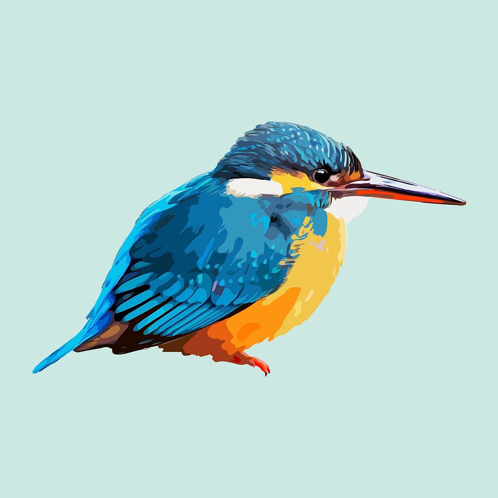 River Kingfisher bird collage element, aesthetic illustration psd