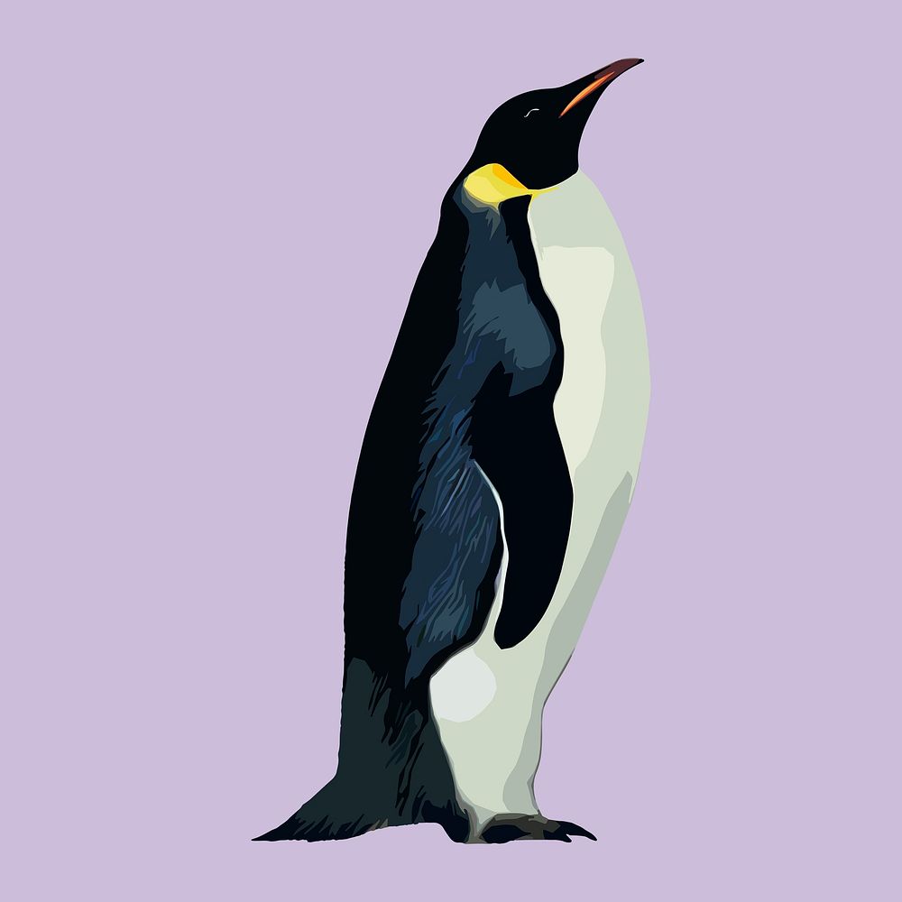King penguin animal collage element, aesthetic illustration psd