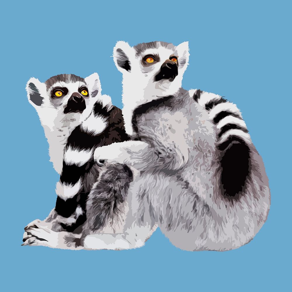 Lemur animals, aesthetic vector illustration