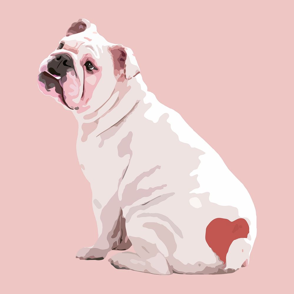 Valentine's dog collage element, English Bulldog aesthetic illustration psd