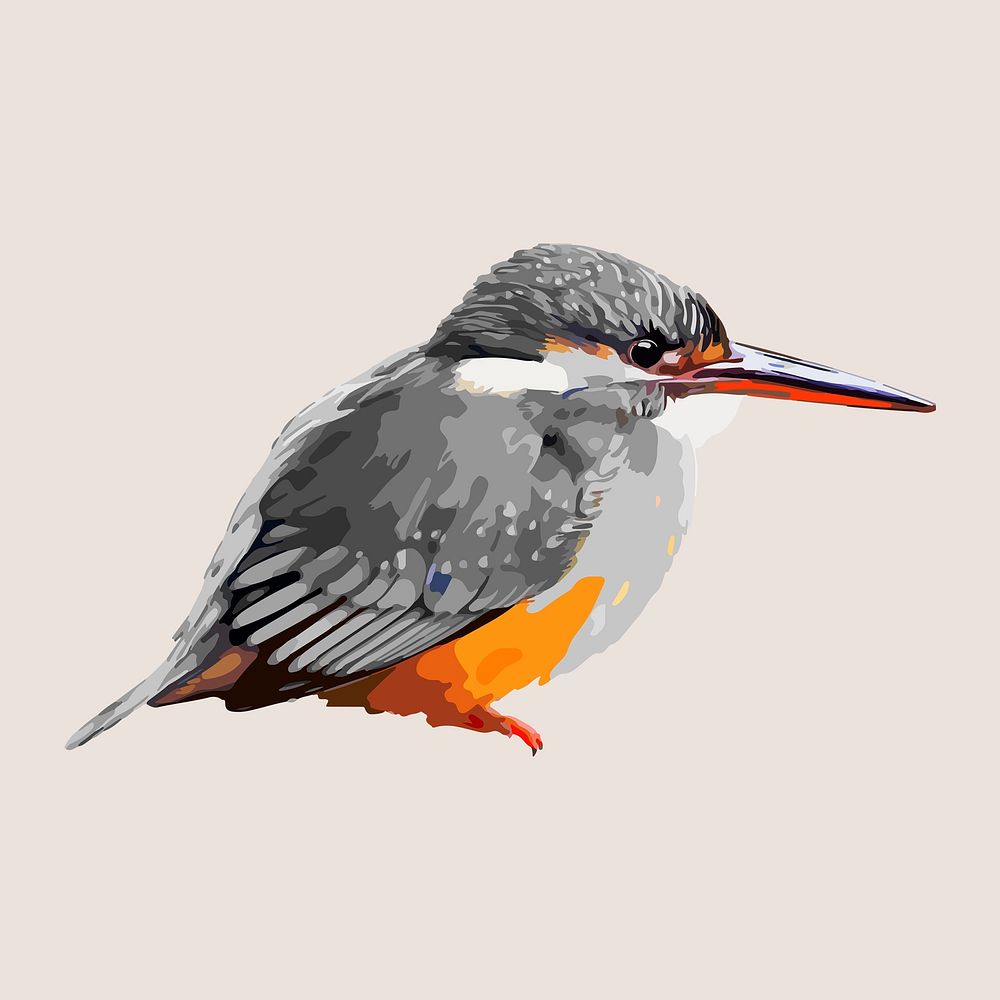 Kingfisher bird collage element, aesthetic illustration psd
