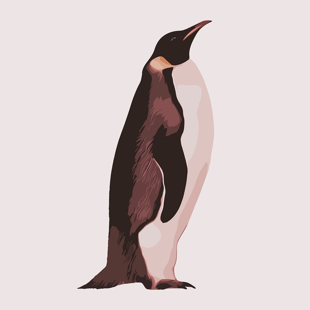 King penguin animal collage element, aesthetic illustration psd