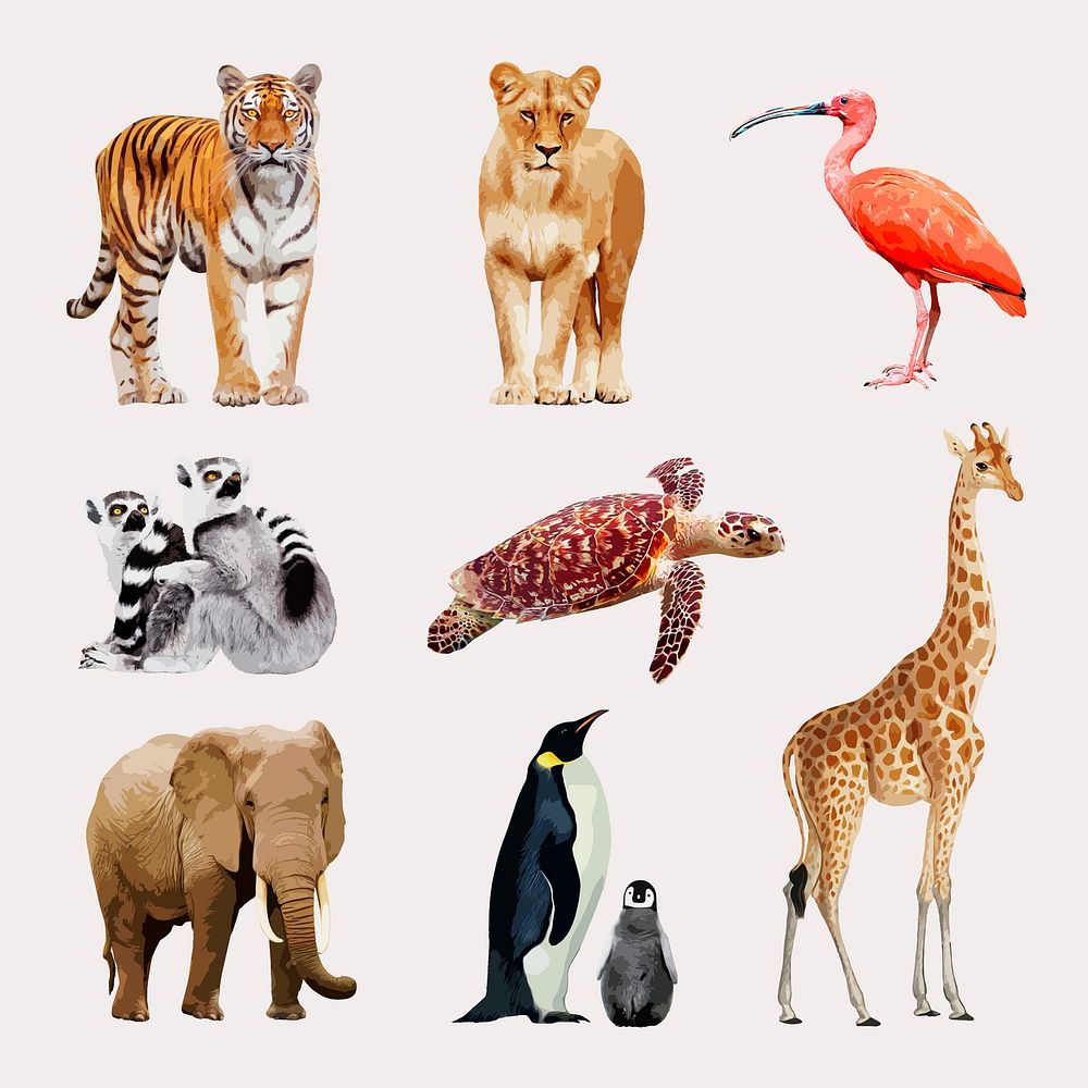 Animal & wildlife collage element, aesthetic illustration set psd