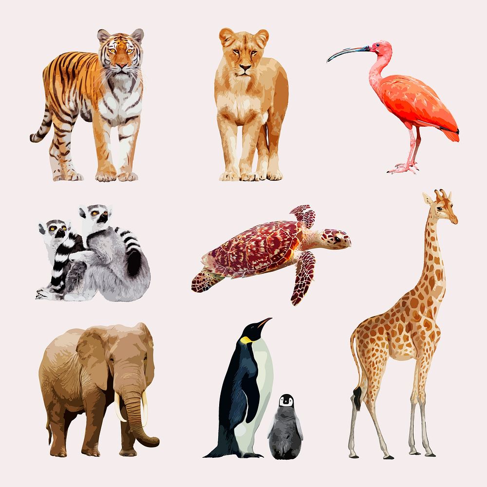 Animal & wildlife, aesthetic vector illustration set