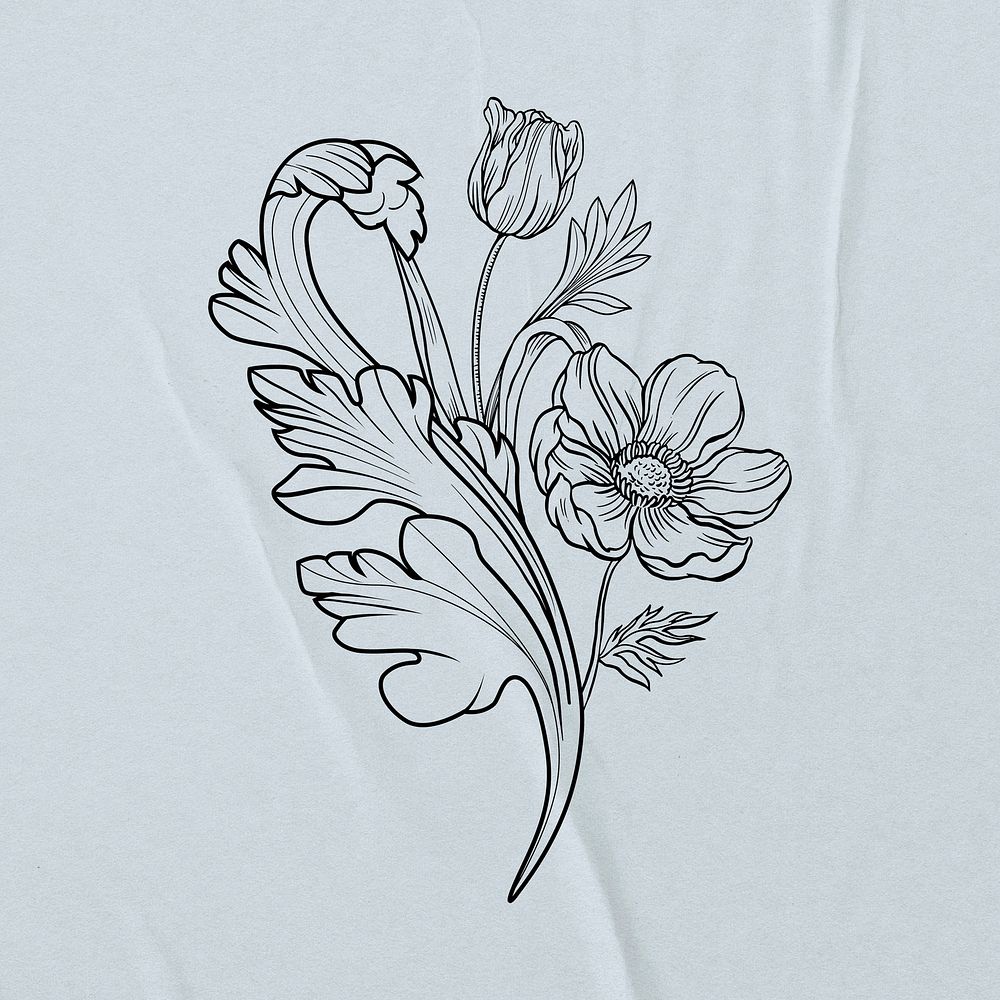 Flower line art clipart, floral illustration