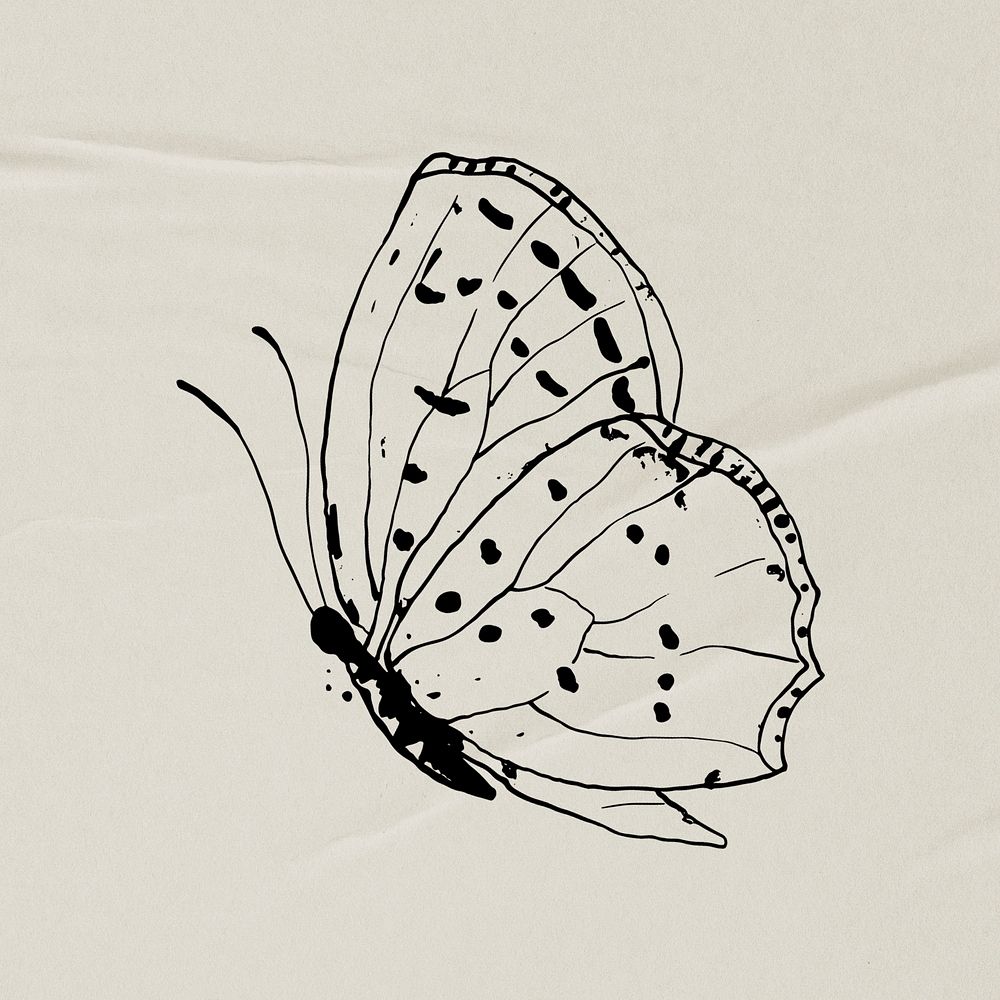 Butterfly sticker, line art illustration psd
