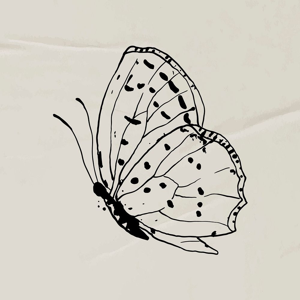 Butterfly sticker, line art illustration vector