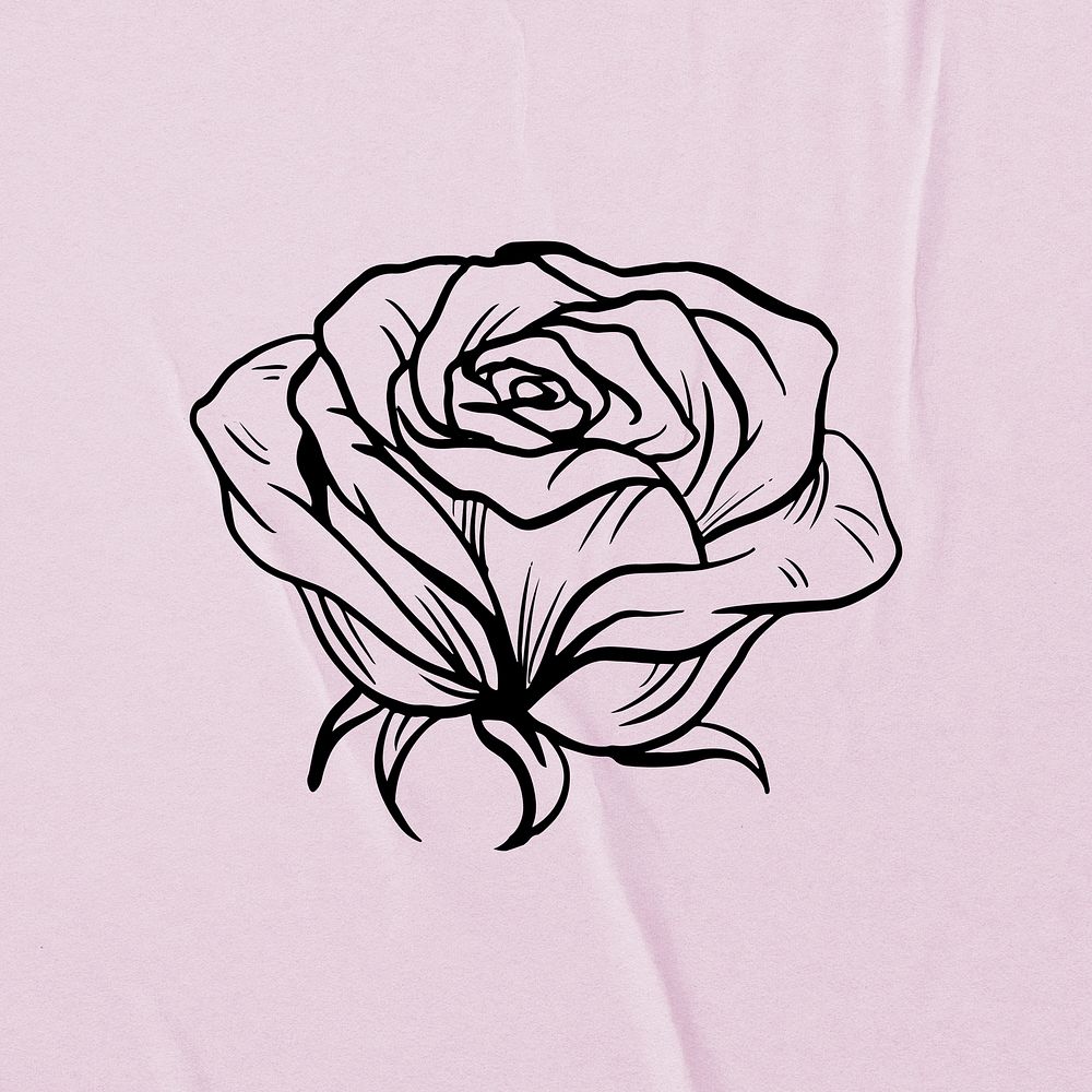 Rose line art clipart, floral illustration