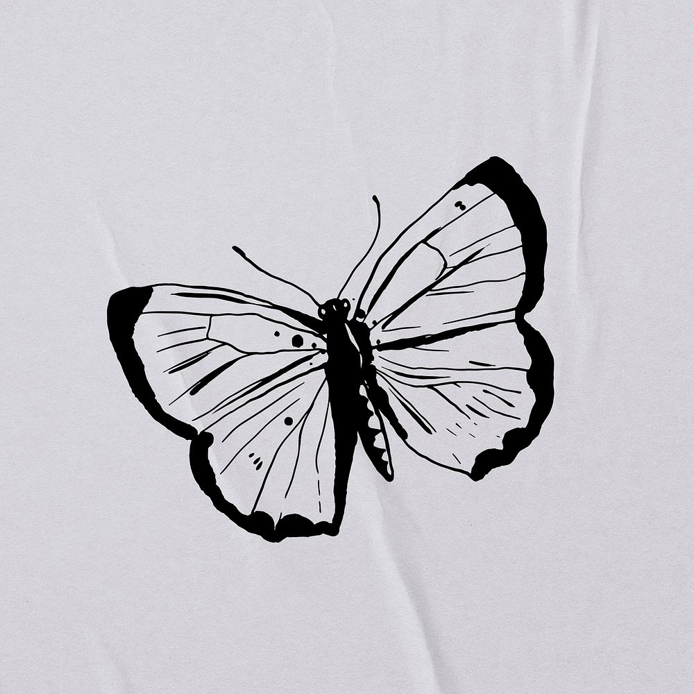 Butterfly line art clip art, hand drawn illustration