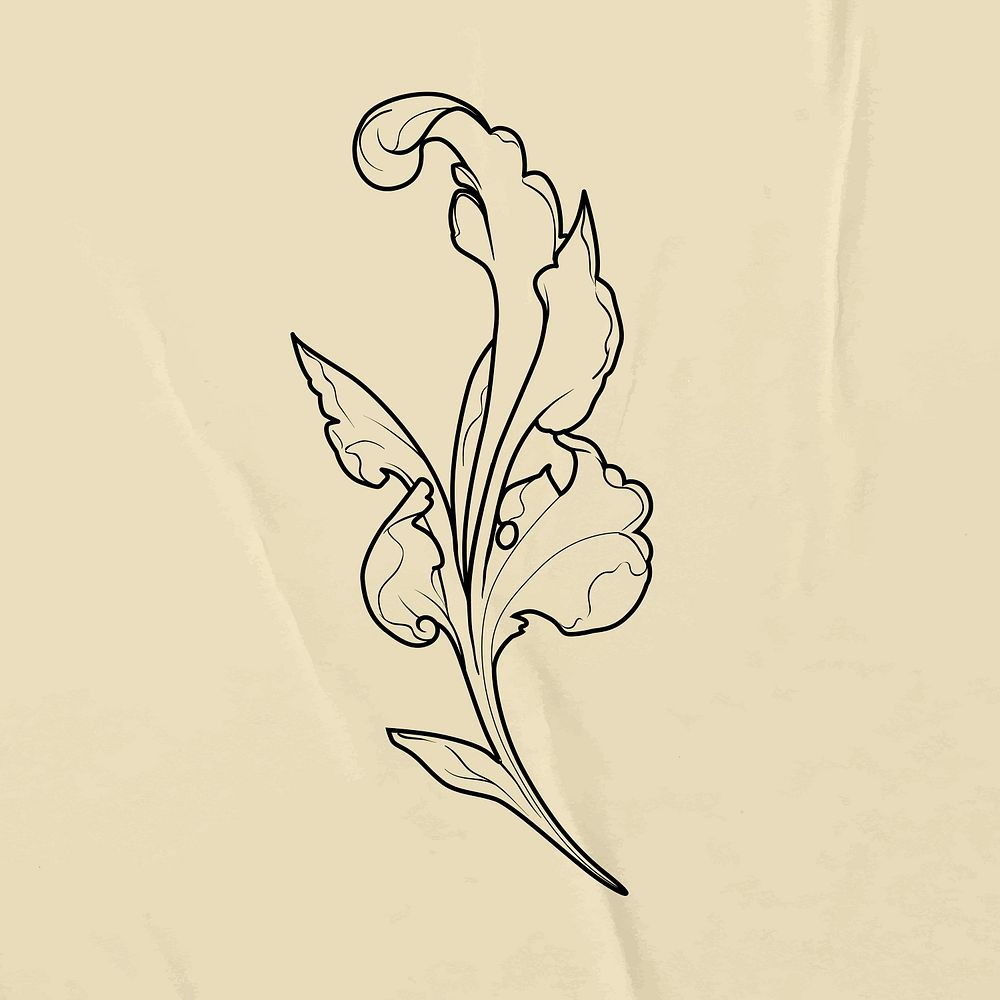 Vintage ornament clipart, floral & botanical graphic vector