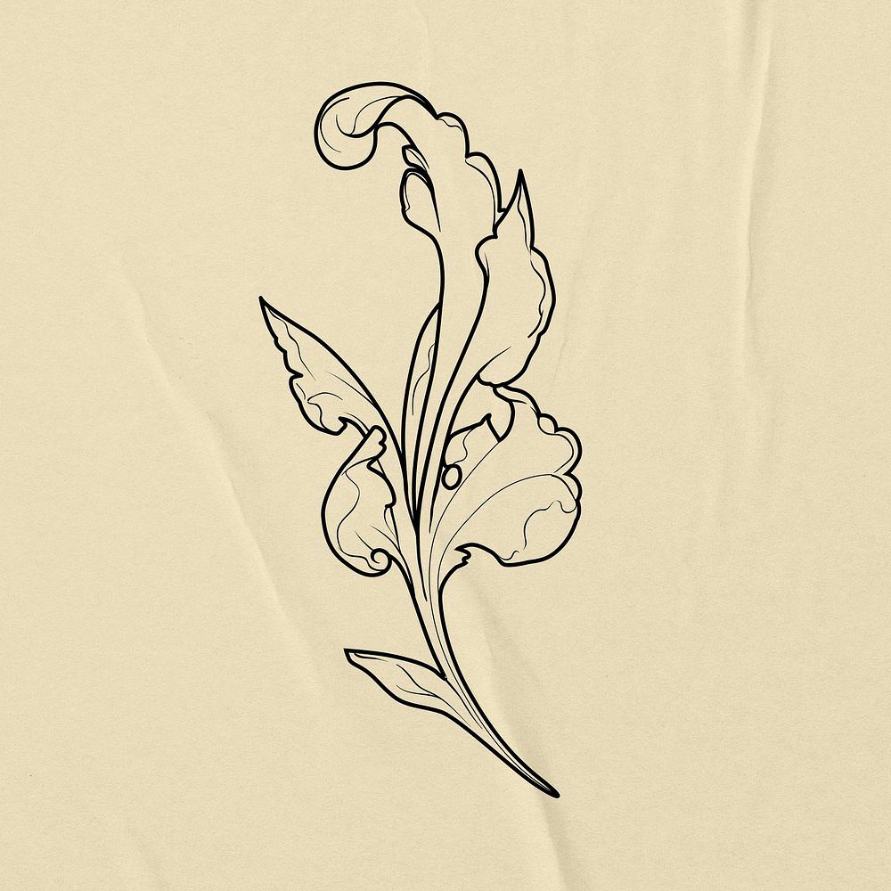 Elegant floral ornamental illustration, aesthetic clipart