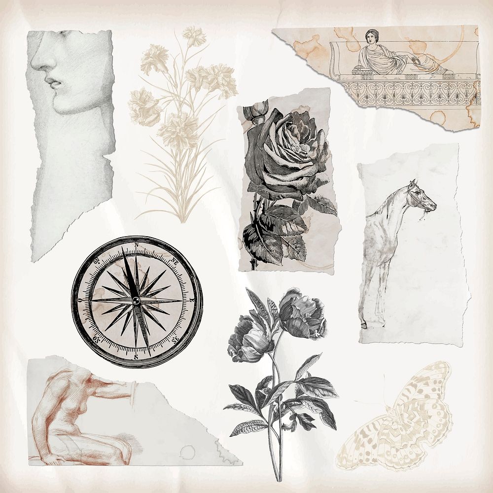 Ripped paper scrap png journal collage sticker with vintage drawings vector set 