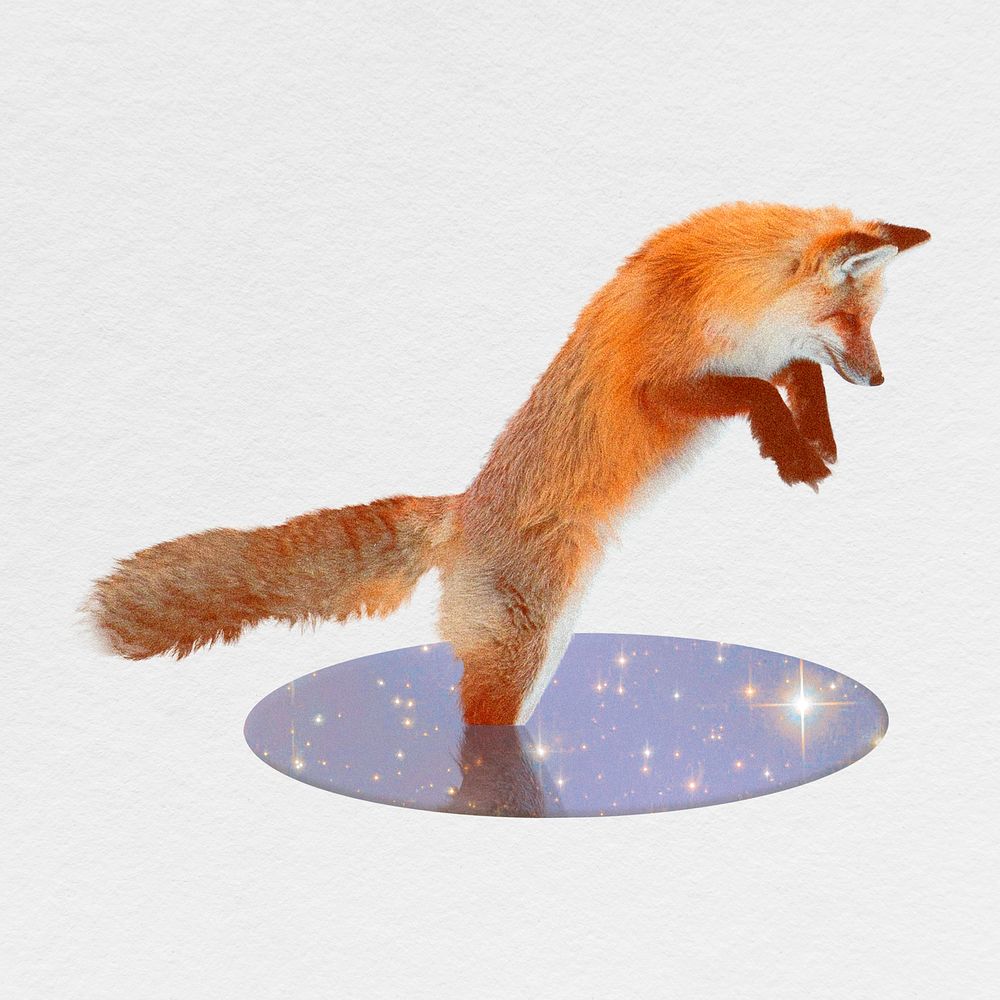 Jumping fox cut out, animal design psd