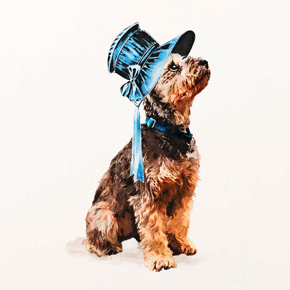 Schnauzer dog illustration vector with blue bonnet