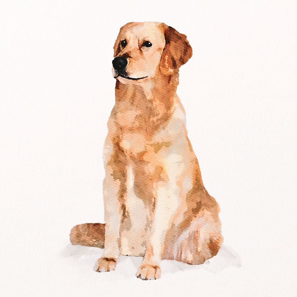 Golden retriever dog illustration psd, adorable pet painting 