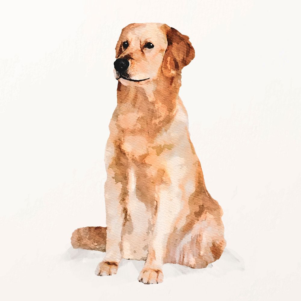 Golden retriever dog illustration vector, cute pet painting 