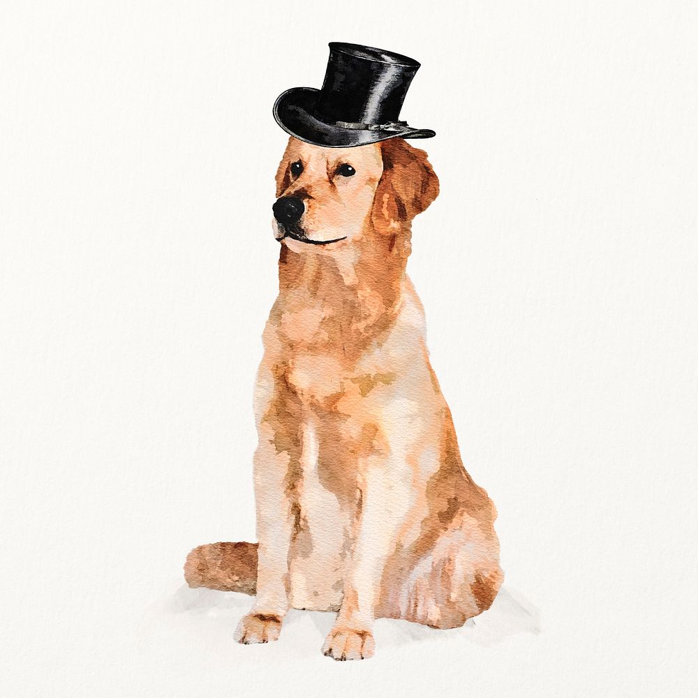 Golden retriever dog illustration with top hat, cute pet painting 