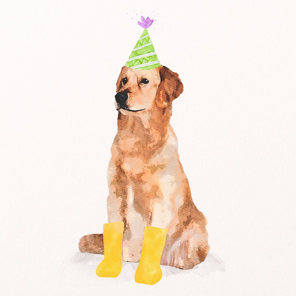 Golden retriever dog illustration psd with party hat