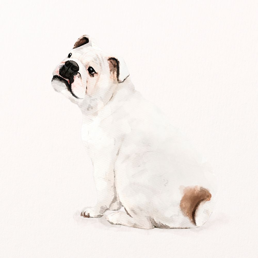 English bulldog illustration psd, adorable pet painting