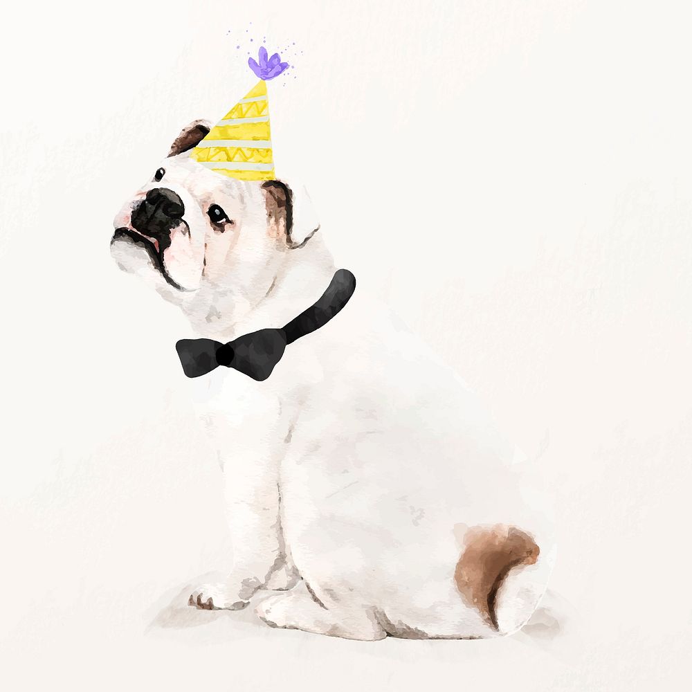 English bulldog illustration vector with party hat