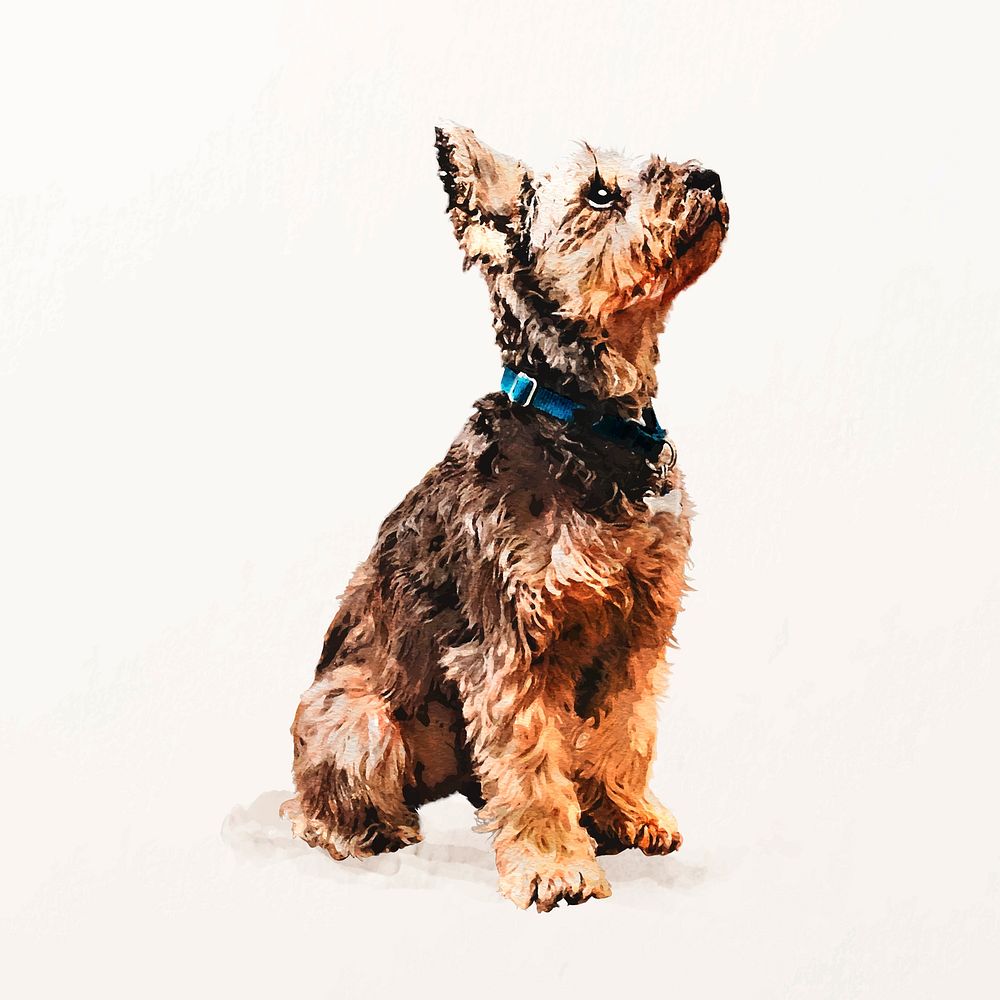 Schnauzer dog illustration vector, cute pet painting