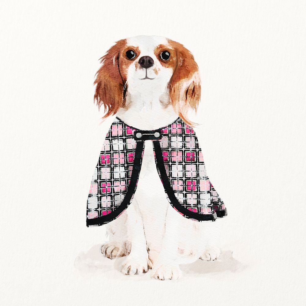 Cavalier King Charles Spaniel dog illustration with cape, cute pet painting 