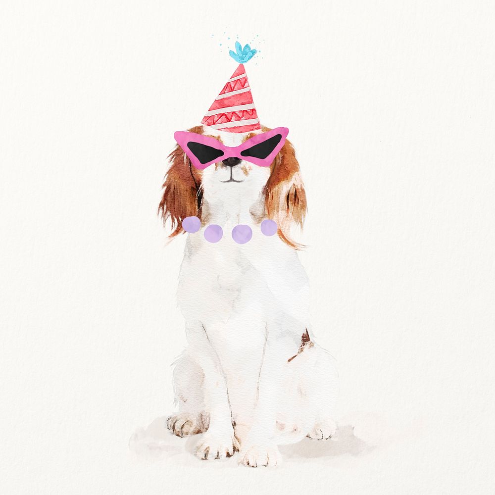 Cavalier King Charles Spaniel dog illustration with birthday party hat