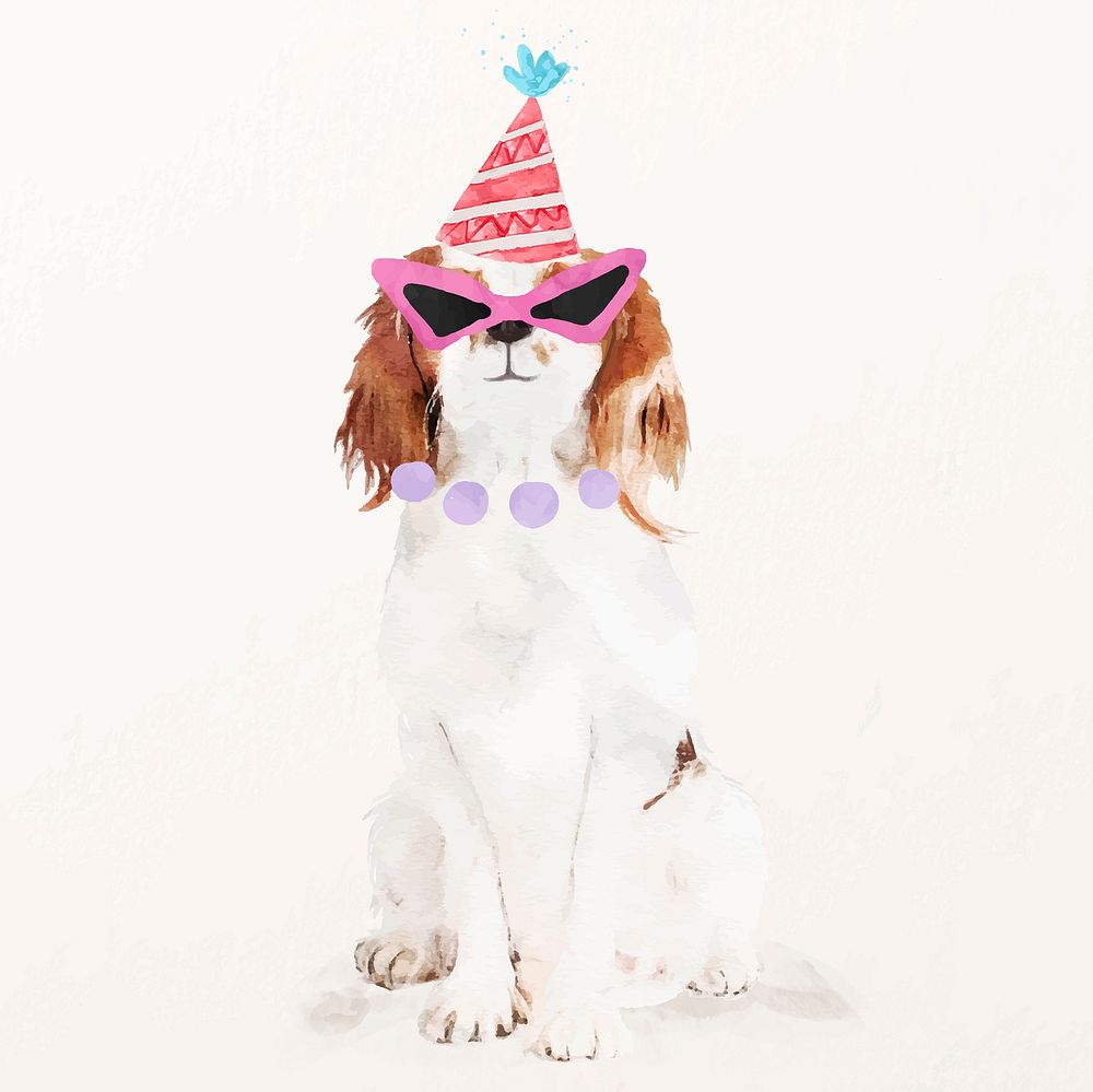Cavalier King Charles Spaniel dog illustration vector birthday party hat
