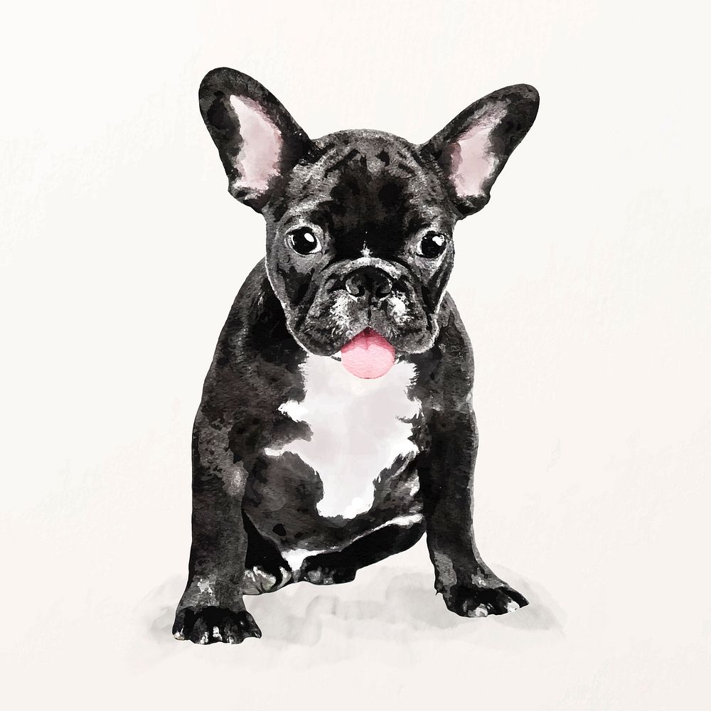 French bulldog illustration vector, cute pet painting