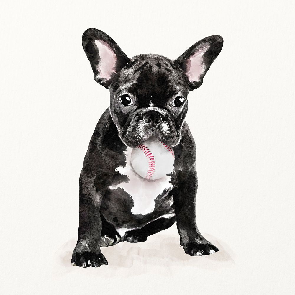 French bulldog illustration with baseball ball in his mouth