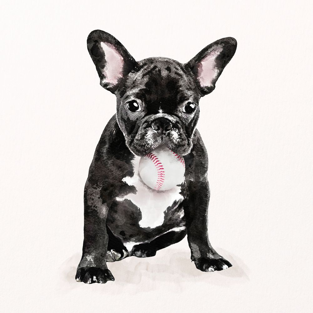 French bulldog illustration psd with baseball ball in his mouth, cute pet painting