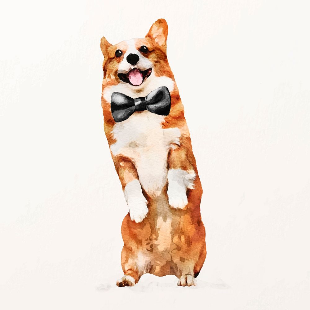 Watercolor corgi dog illustration vector with gloves and bow tie