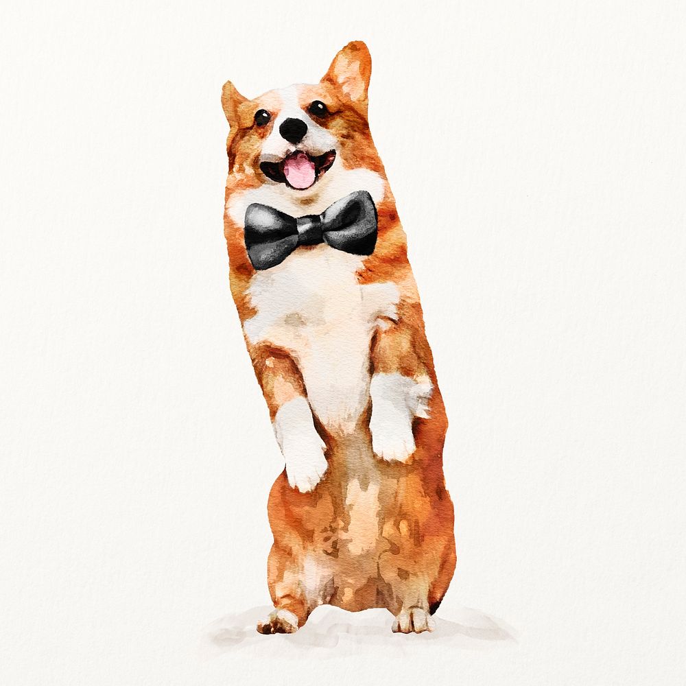 Watercolor corgi dog illustration with gloves and bow tie