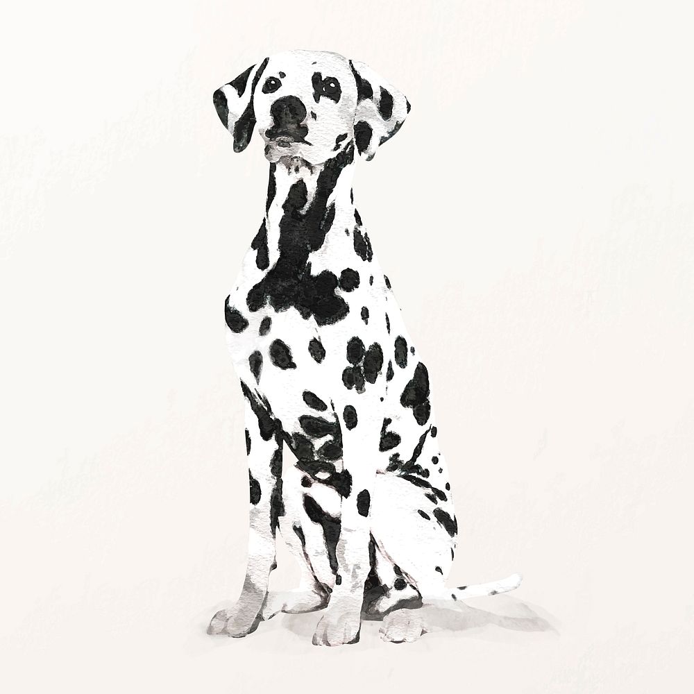 Watercolor Dalmatian dog illustration vector, cute pet painting 
