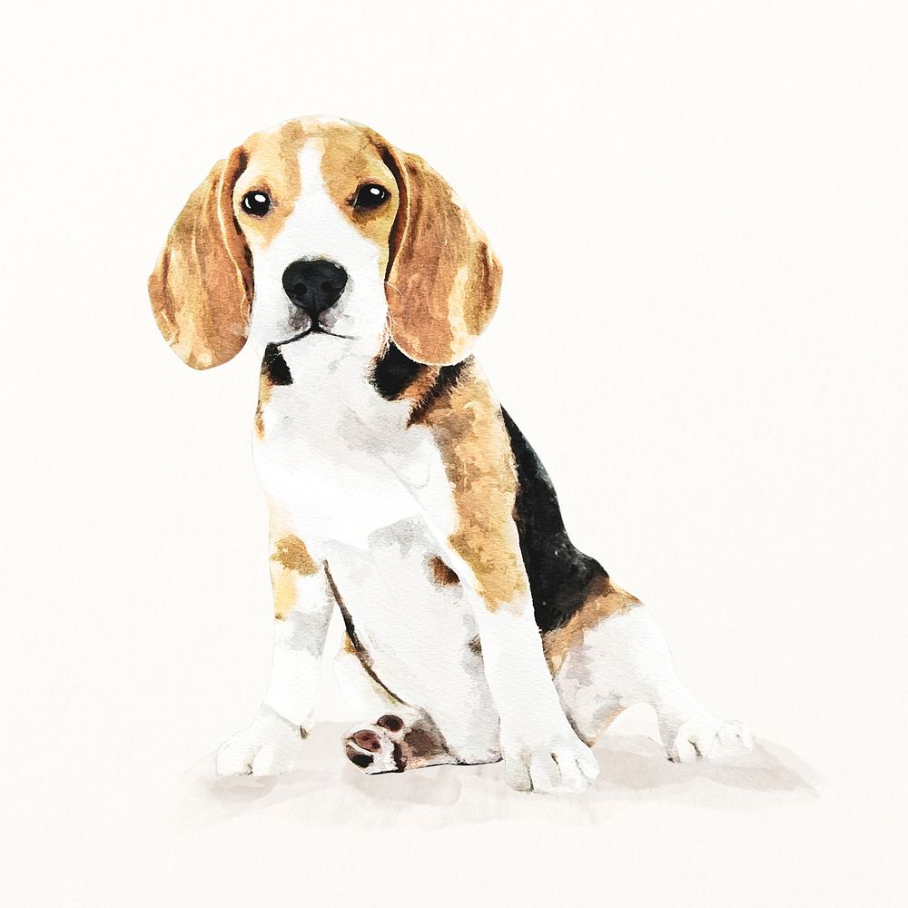 Cute beagle illustration, cute pet painting 