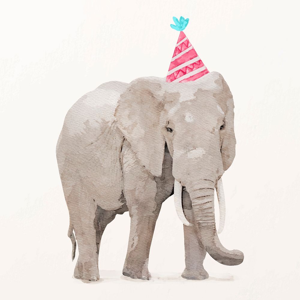 Watercolor elephant illustration vector with birthday party hat