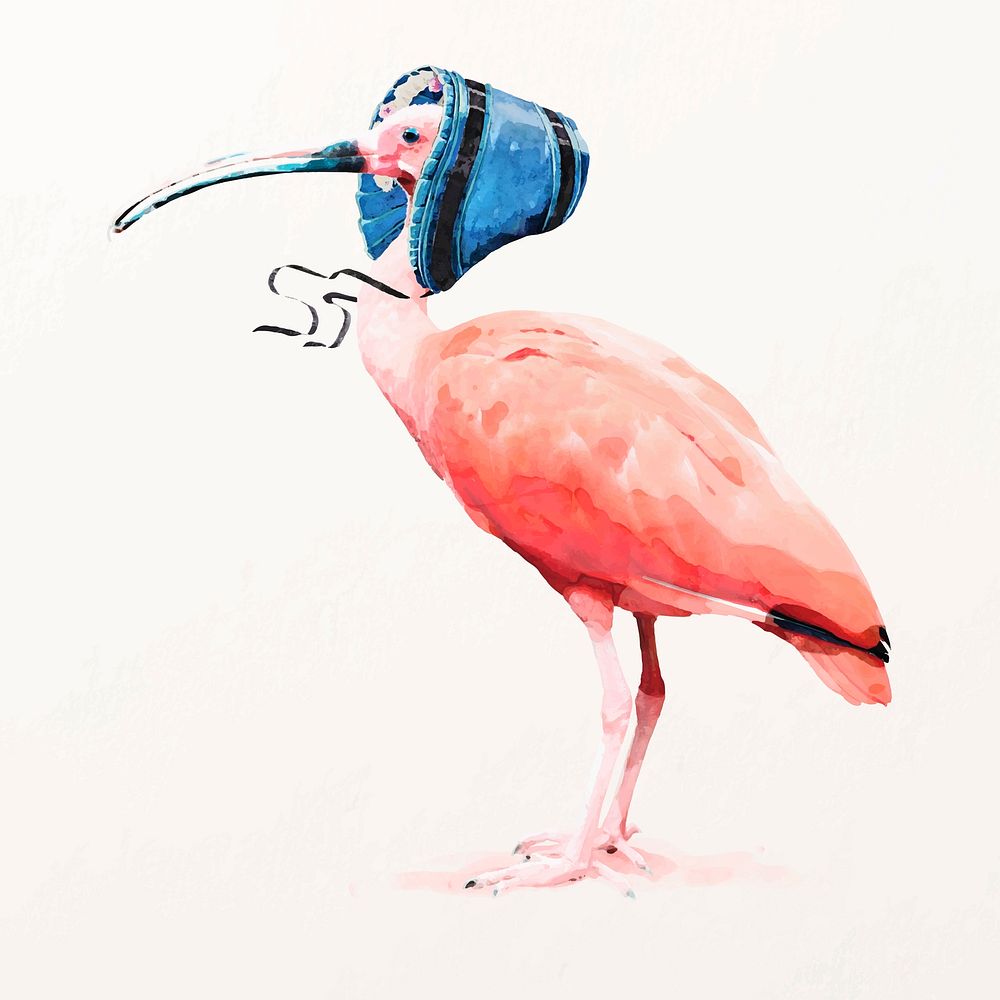 Scarlet ibis bird illustration vector with blue bonnet
